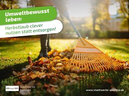 Bild von Herbstlaub
